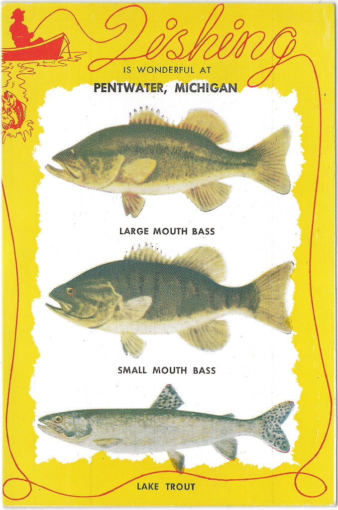 SW Pentwater MI UNUSUAL RARE Pentwater Fishing Collectible… Flickr