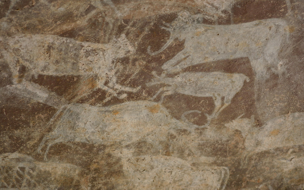 Prehistoric boars and deer 12,000year old paintings at t… Flickr