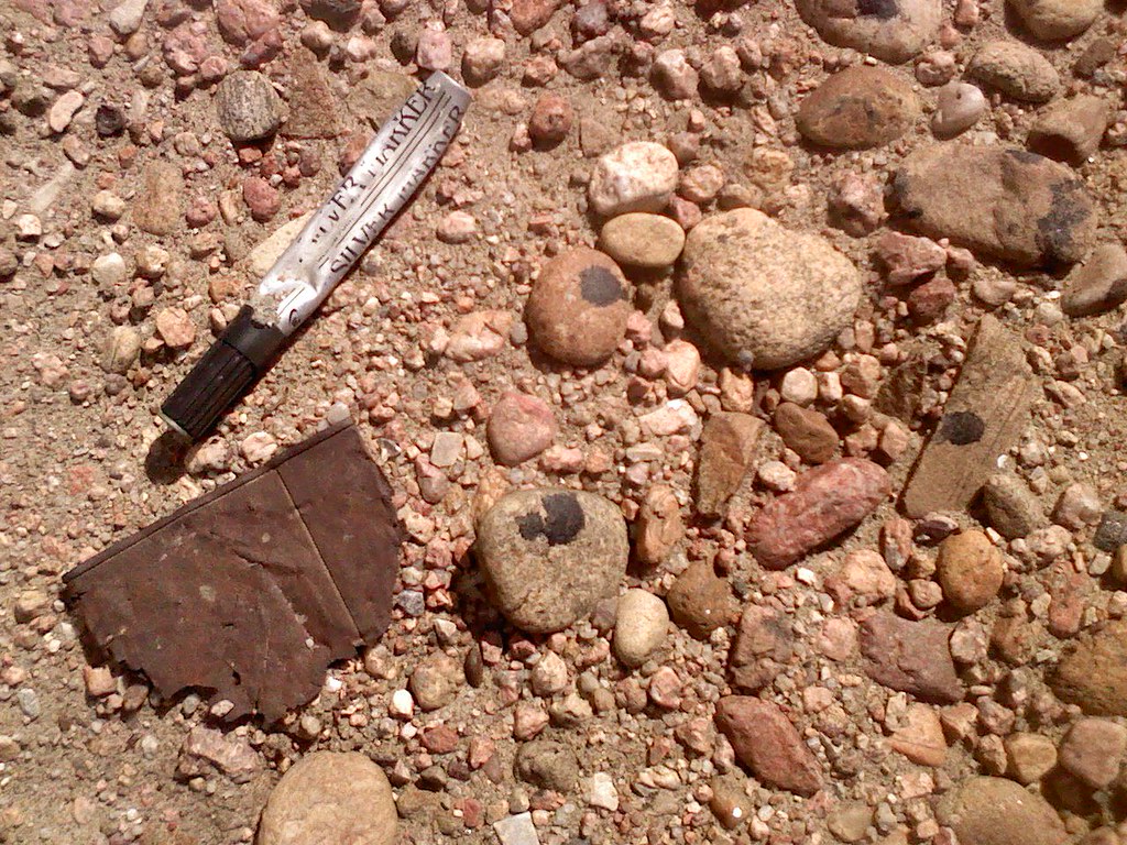 pens rattlesnake jones Flickr