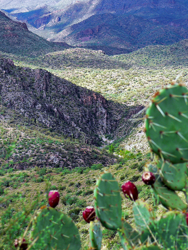 Agua Fria National Monument Adjacent to rapidly expanding … Flickr