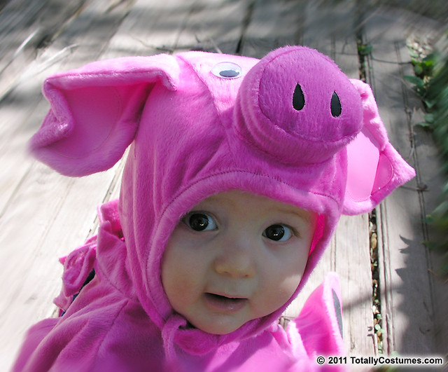 Baby Pig Costume Our exclusive photoshoot shows the extrem… Flickr