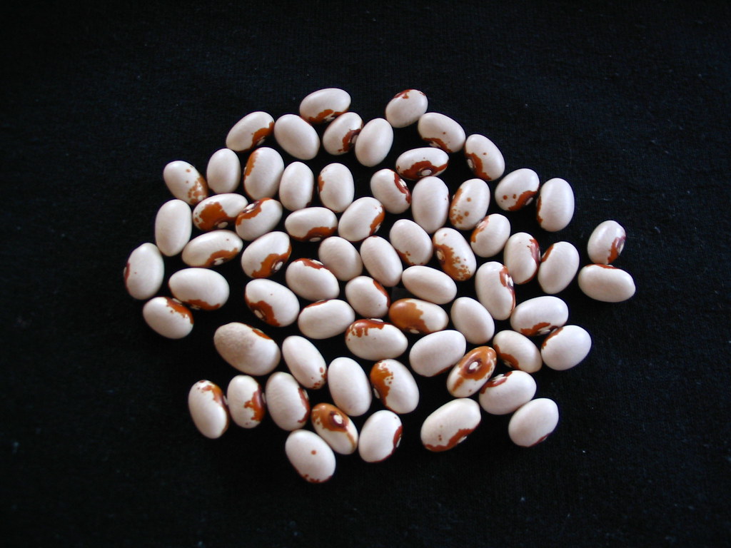 Bean Maine Quote.." A Maine Tradition Beanhole Beans. Ma… Flickr