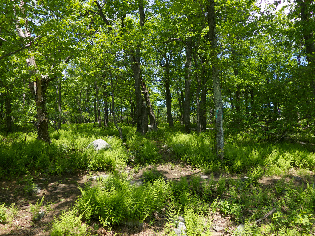 Cragsmoor, New York wxkeith Flickr