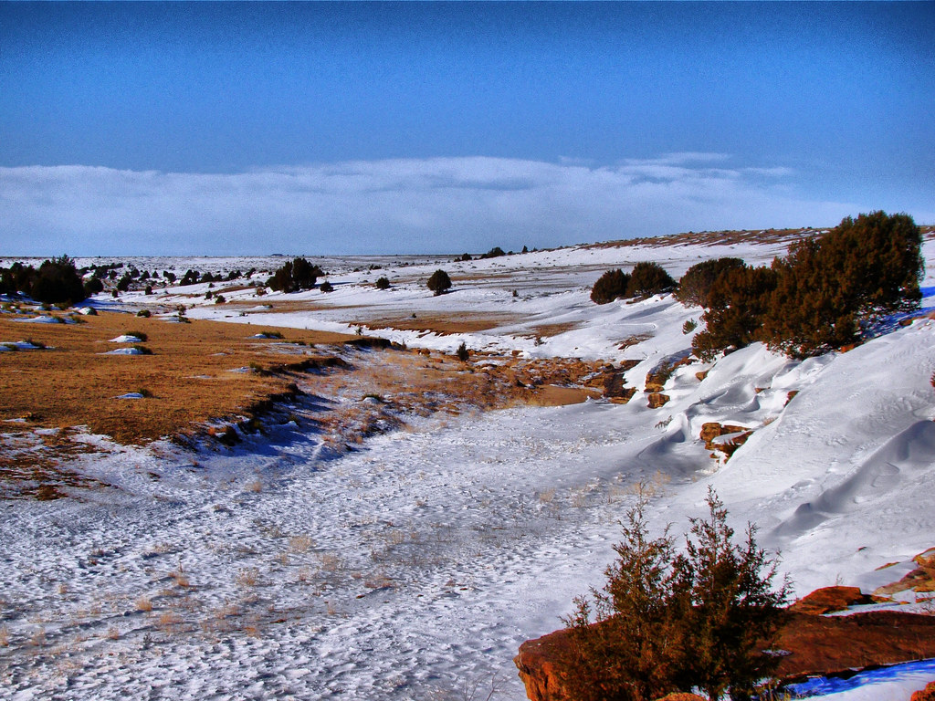 Carrizo Creek Jim Rosebery Flickr