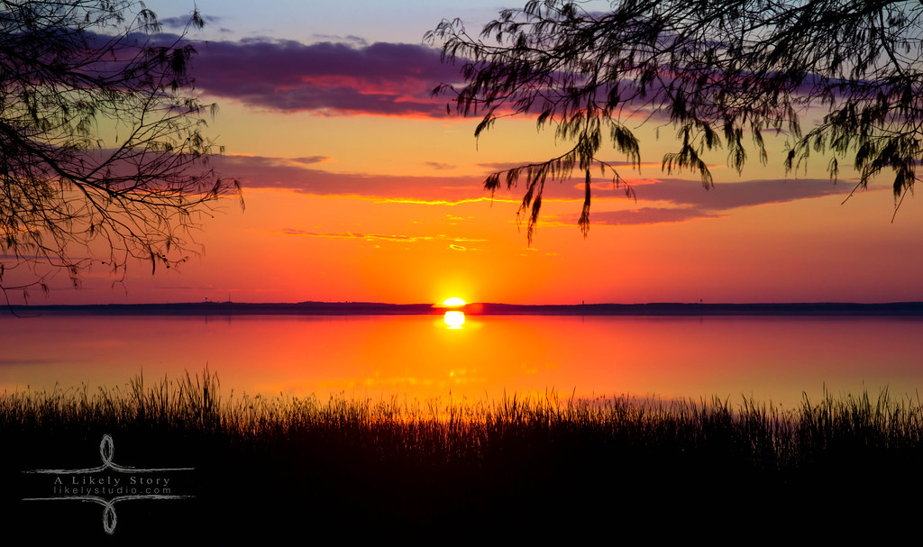 Magnolia Park facebook website 500px A Likely Story Creative Studio