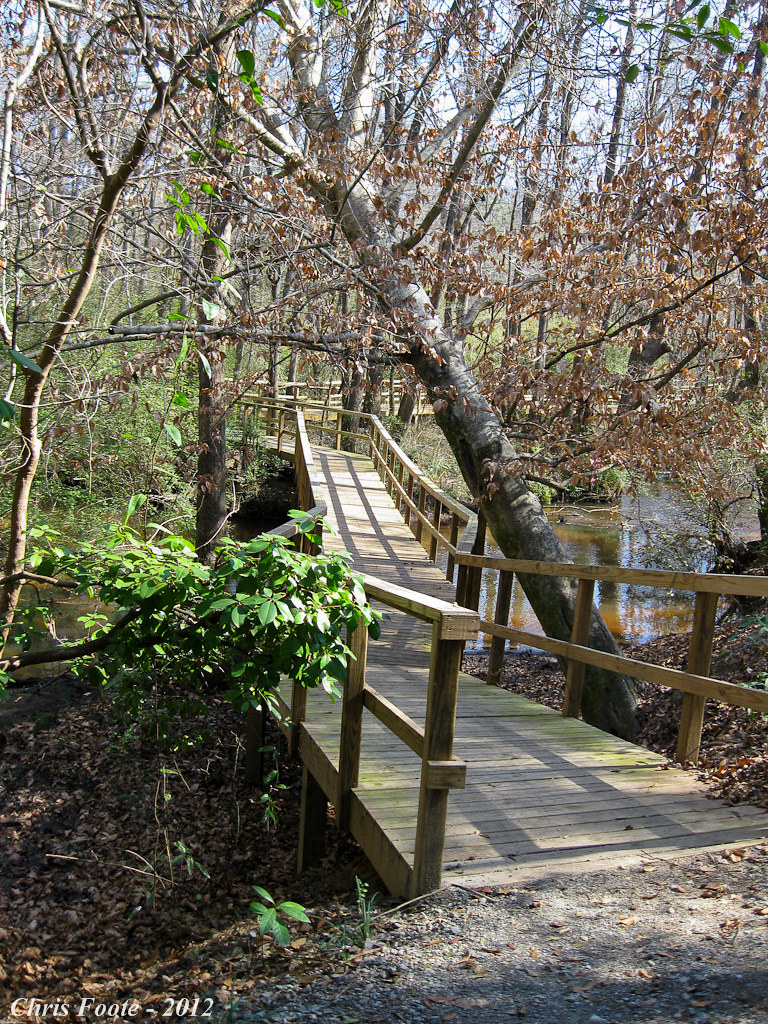Big Indian Creek Trail, Perry, GA Chris F Flickr
