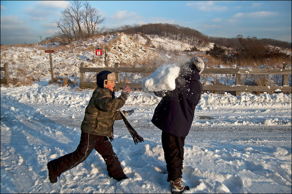 Giant Snowball Tired of getting pelted with snowballs, Dan… Flickr