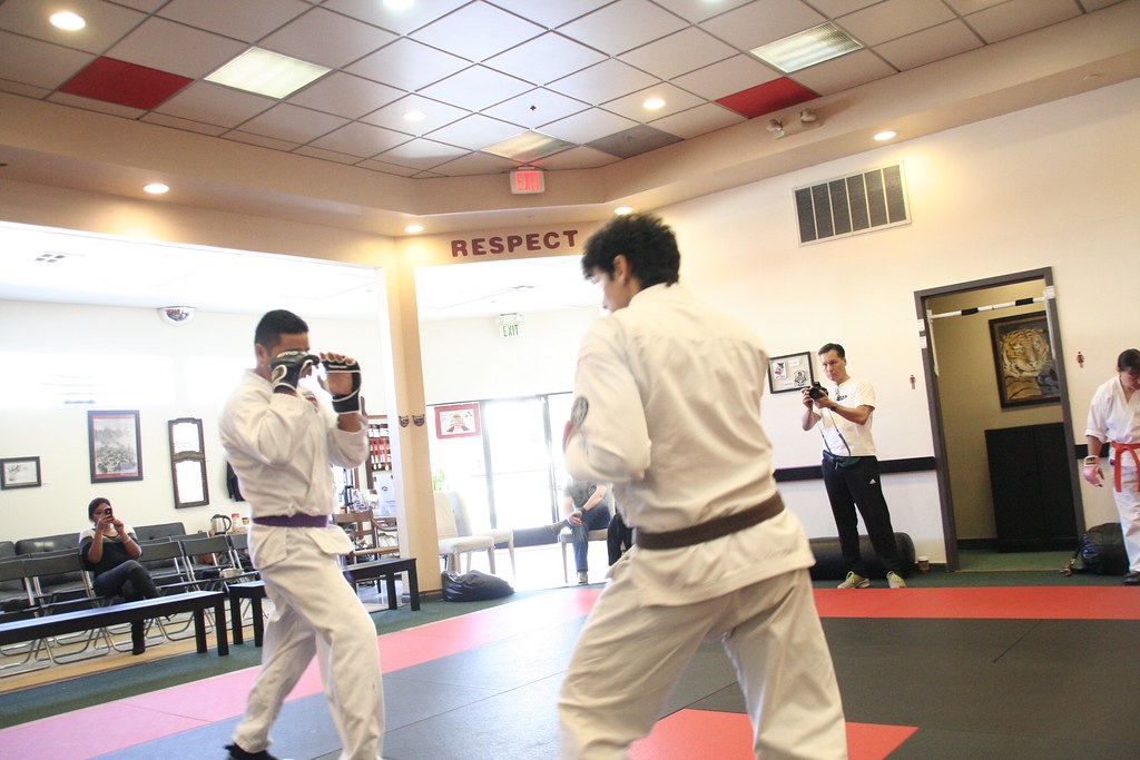 Untitled Arnott Kenpo Flickr