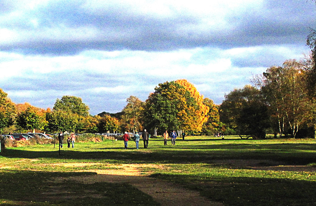 a East Burnham Common1 in the sunshine, Burnham Beeches 6 … Flickr