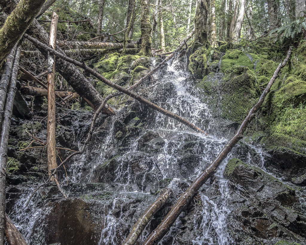 Gales Creek Waterfall Tillamook State Forest, Oregon Flickr