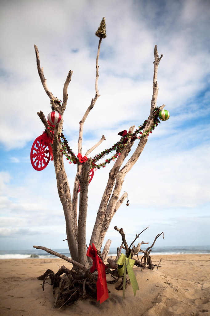 An Outer Banks Christmas Tree Christopher Lane Flickr