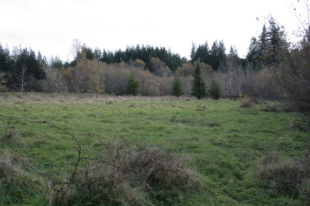 doug 8 frog pond meadow Flickr