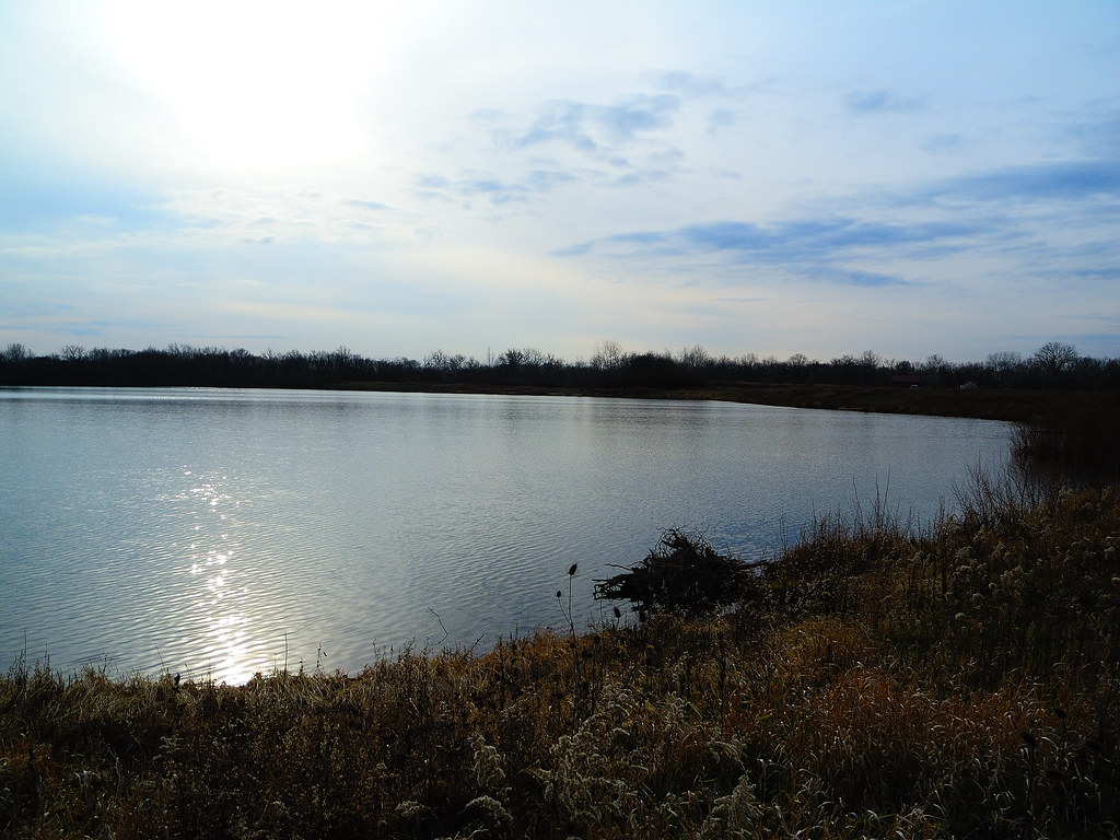 Prairie Oaks_12032011_023 Bruce Faling Flickr