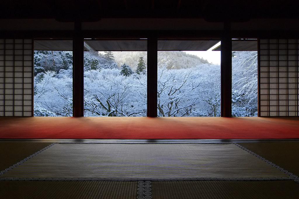 blooming snow flowers Before sunlight comes, snow flowers … Flickr