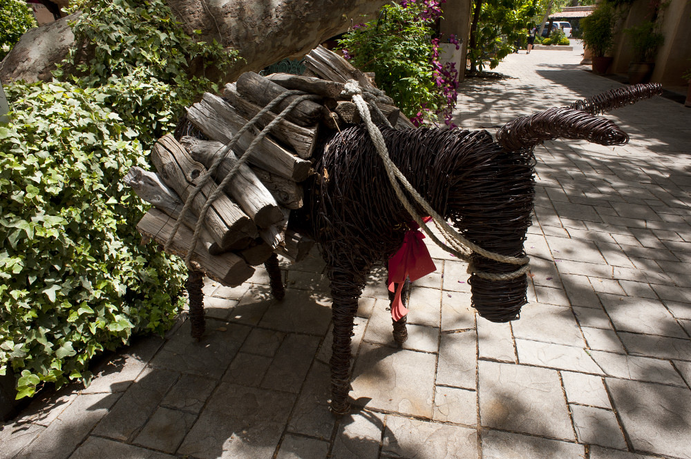 "Burro" by Ignacio Godinez ricmaniquis Flickr