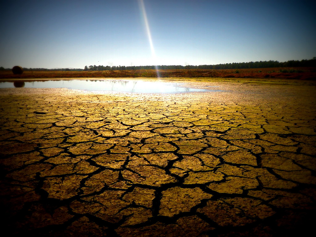 All dried up Anthony Vicente Flickr