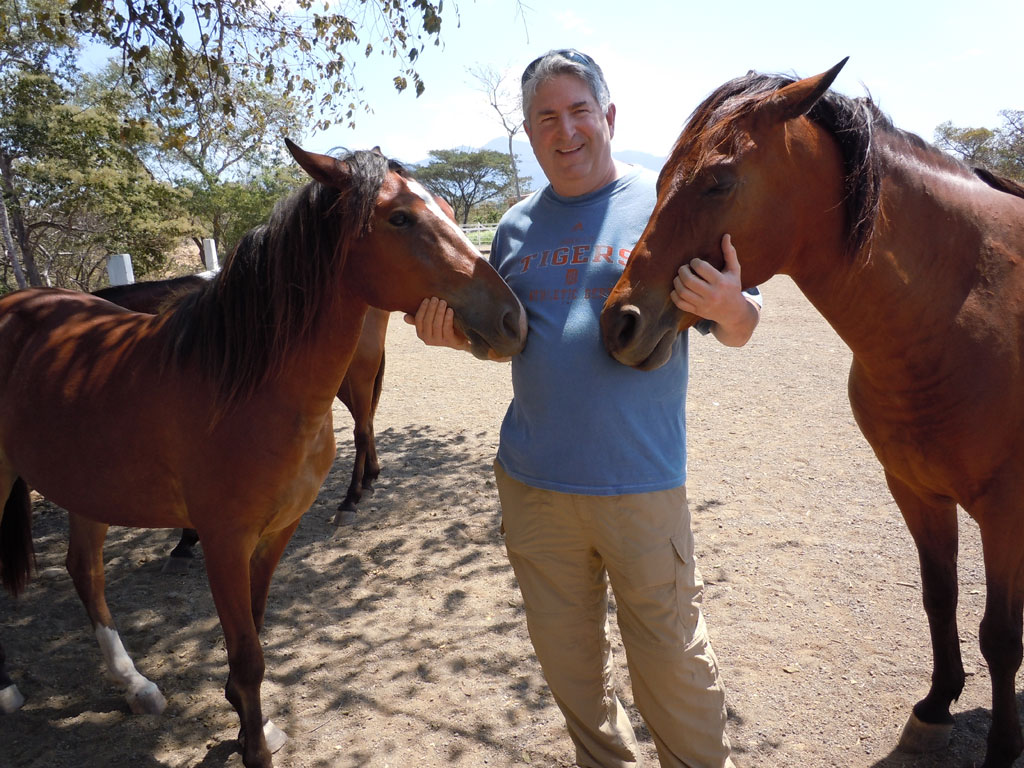 CostaRica Horses Mark Friedman Flickr