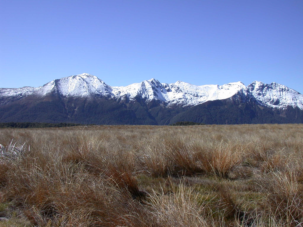 Mt Arthur Looking across the Tablelands toward Mount Arthu… Flickr