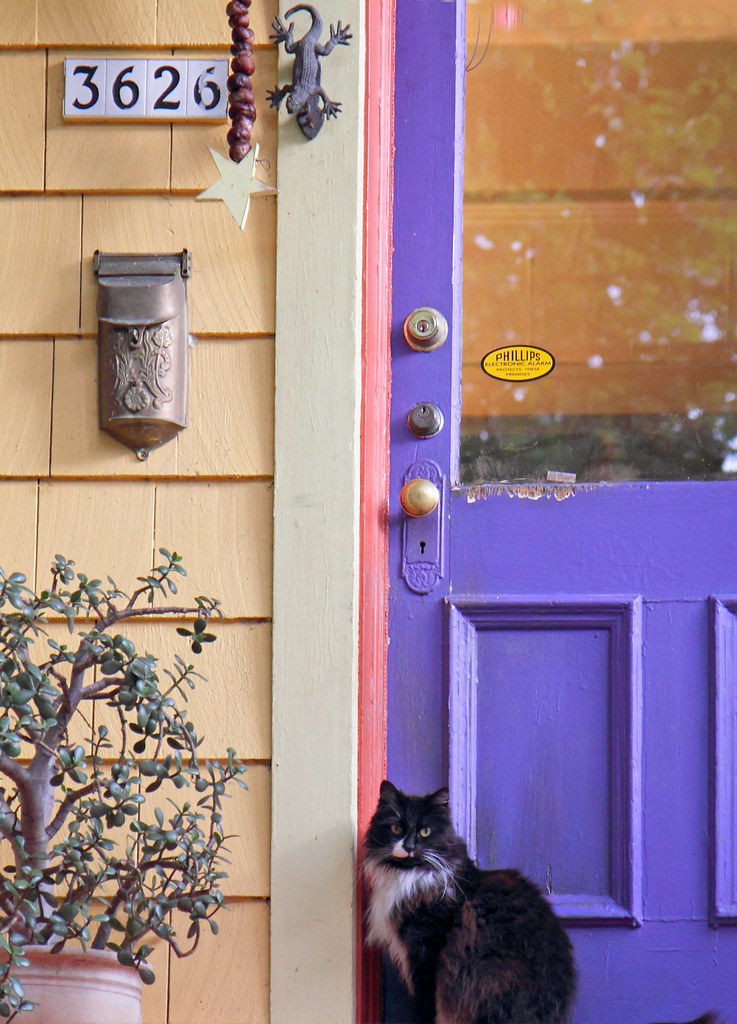 Cat, Jade Plant, and Door Sandra Richard Flickr
