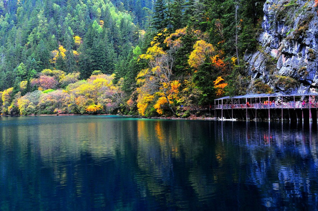 Panda Lake 熊貓海 Jiuzhaigou, Sichuan, China 四川 九寨溝 MelindaChan