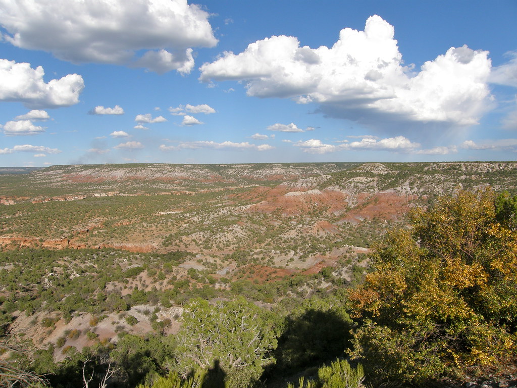 Nazlini, Arizona 20 miles north of Ganado AZ along Navajo
