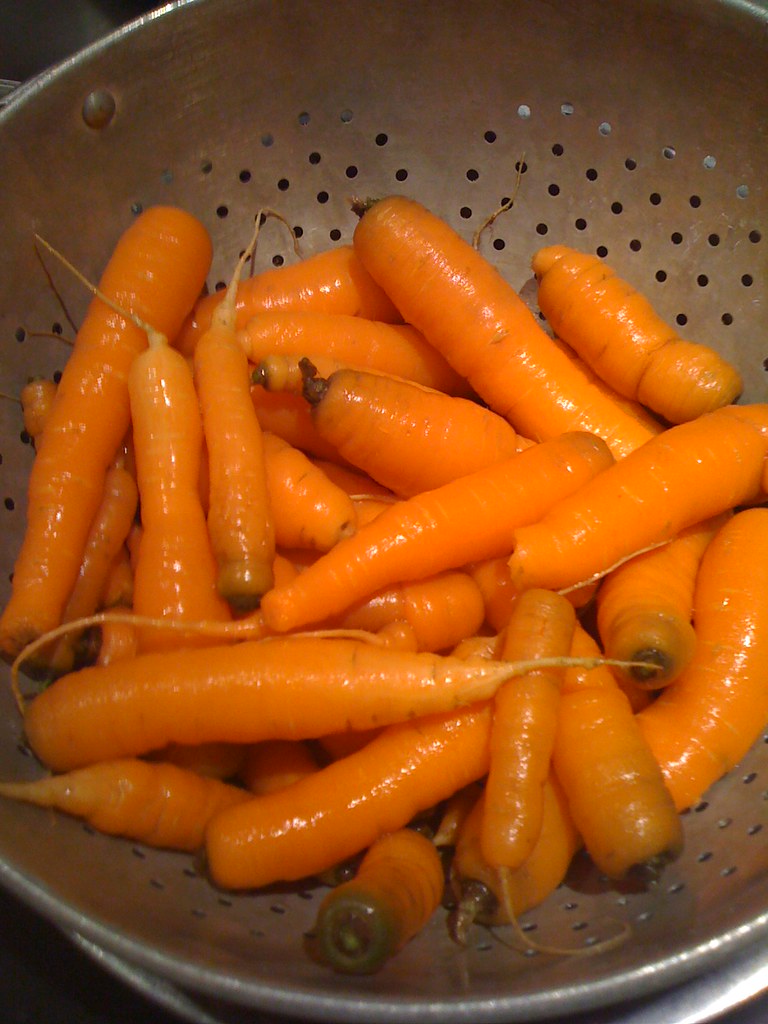 winter carrots a harvest of greenhouse carrots on December… marcia