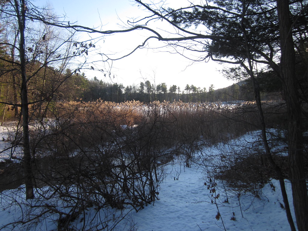 Moreau Lake State Park New York Moreau Lake State Park … Flickr