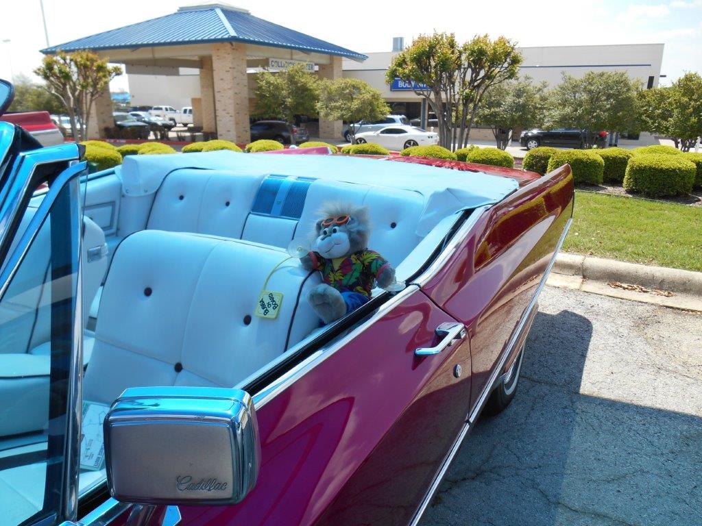 2014 James Wood AutoPark Car Show Denton, Texas The 2014 J… Flickr