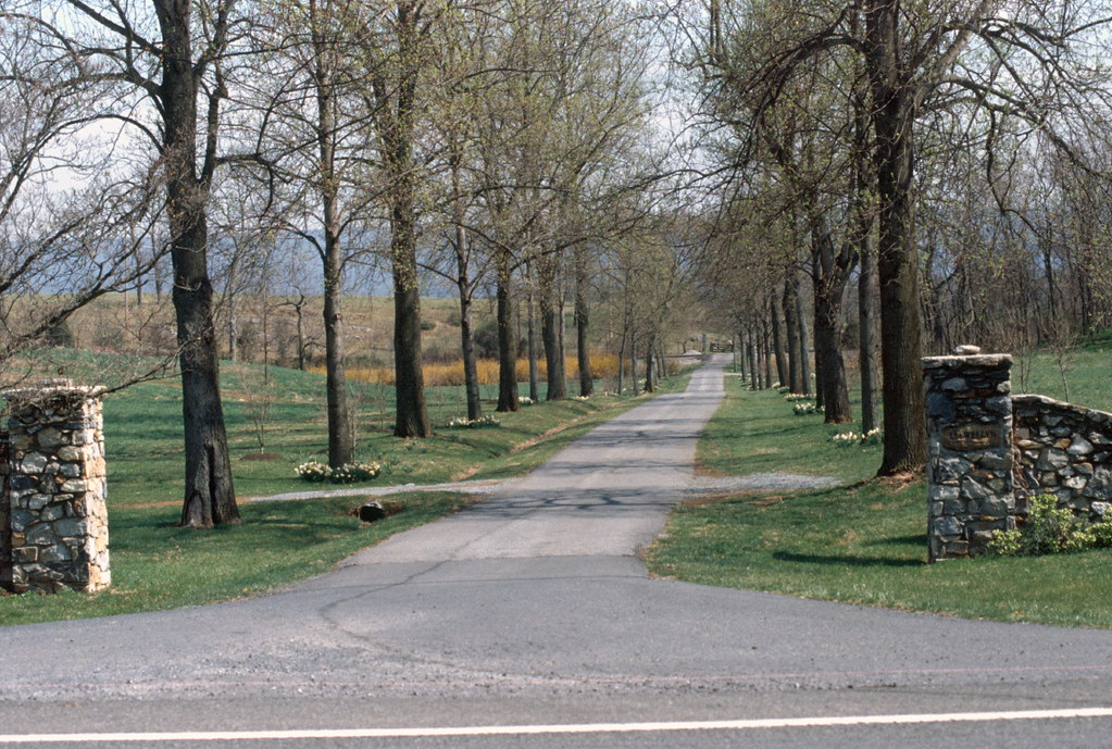 Llewellyn Farm drive, Berryville, VA (2006) a photo on Flickriver