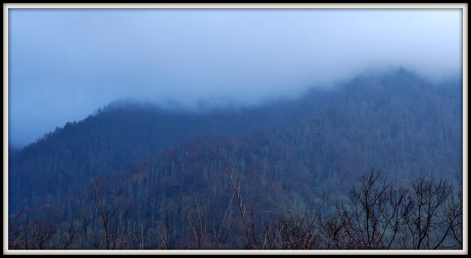 Great Smoky Mountains, March 2012 Flickr