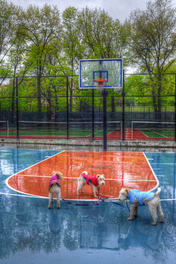 On the Emerson basketball court Tuesday morning, Inwood Hi… Flickr