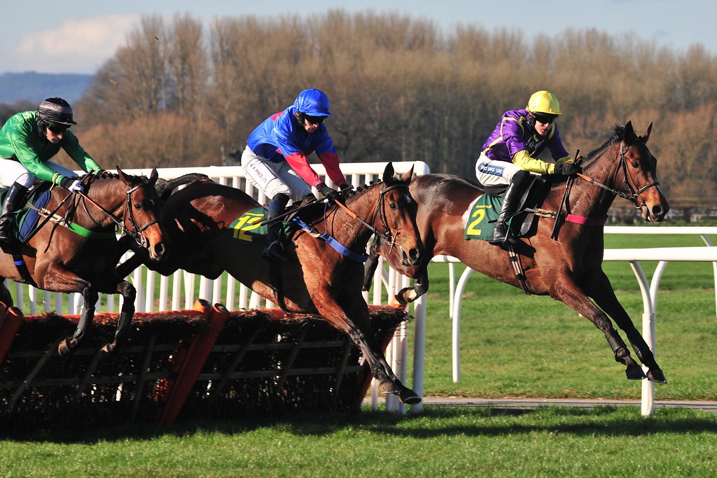 Horses Jump Over Hurdle Race horses hurdling at Bangor Flickr