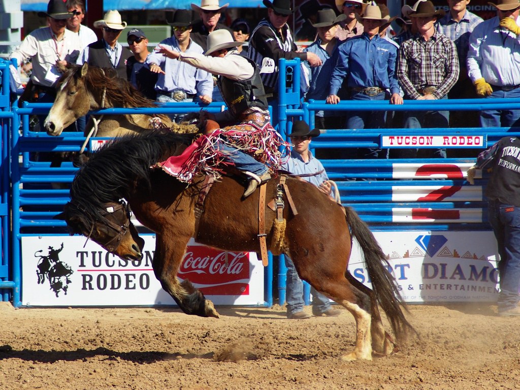Bucking bronco Tucson Rodeo kanu101 Flickr