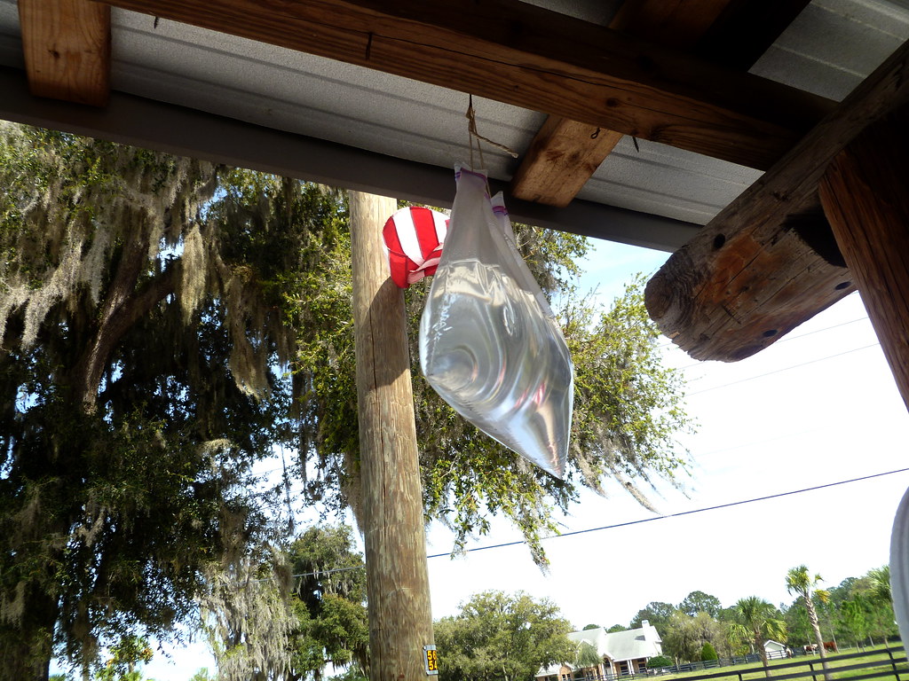 Fly Repellant? The water bag method of fly repellant has m… Flickr