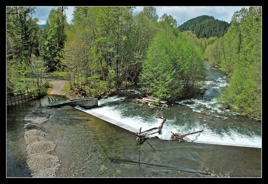 Salmon Creek from the Coast Starlight a photo on Flickriver