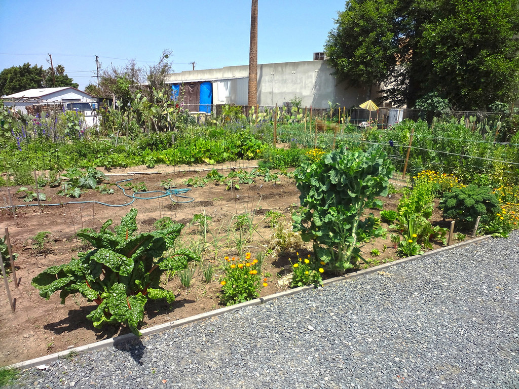 Bell Gardens Community Gardens (20) Bell Gardens Community… Flickr