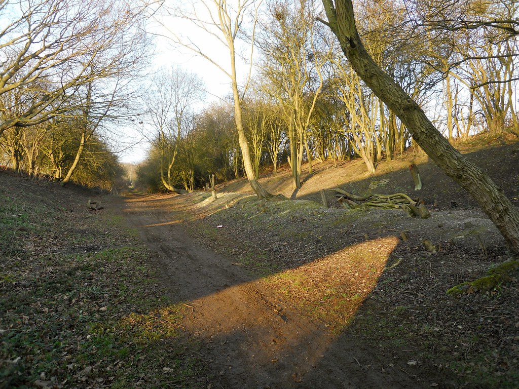 RugbyLeamington Line At Cawston.Line is being cleared for… Flickr