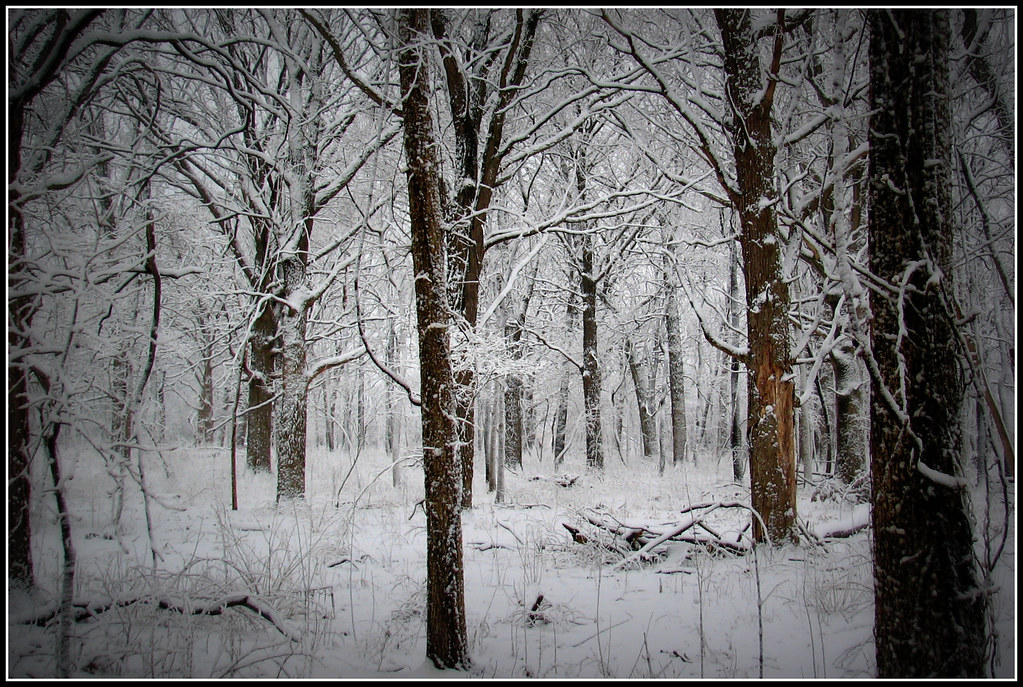 Mack Road, Wheaton, IL Eva's Photography Flickr