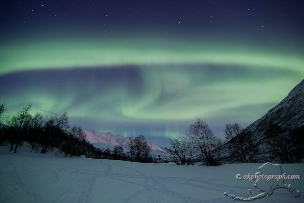 Northern Lights Last night near our home in Wasilla, Alask… Flickr