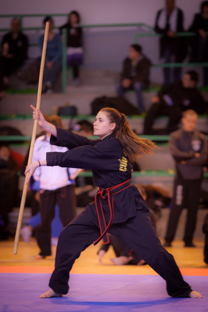 Arts Martiaux Vietnamiens Coupe Inter Régionale Arts Marti… Flickr