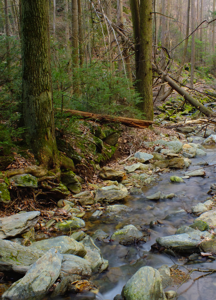 Apollo County Park (7) Wilson Run, York County. Flickr