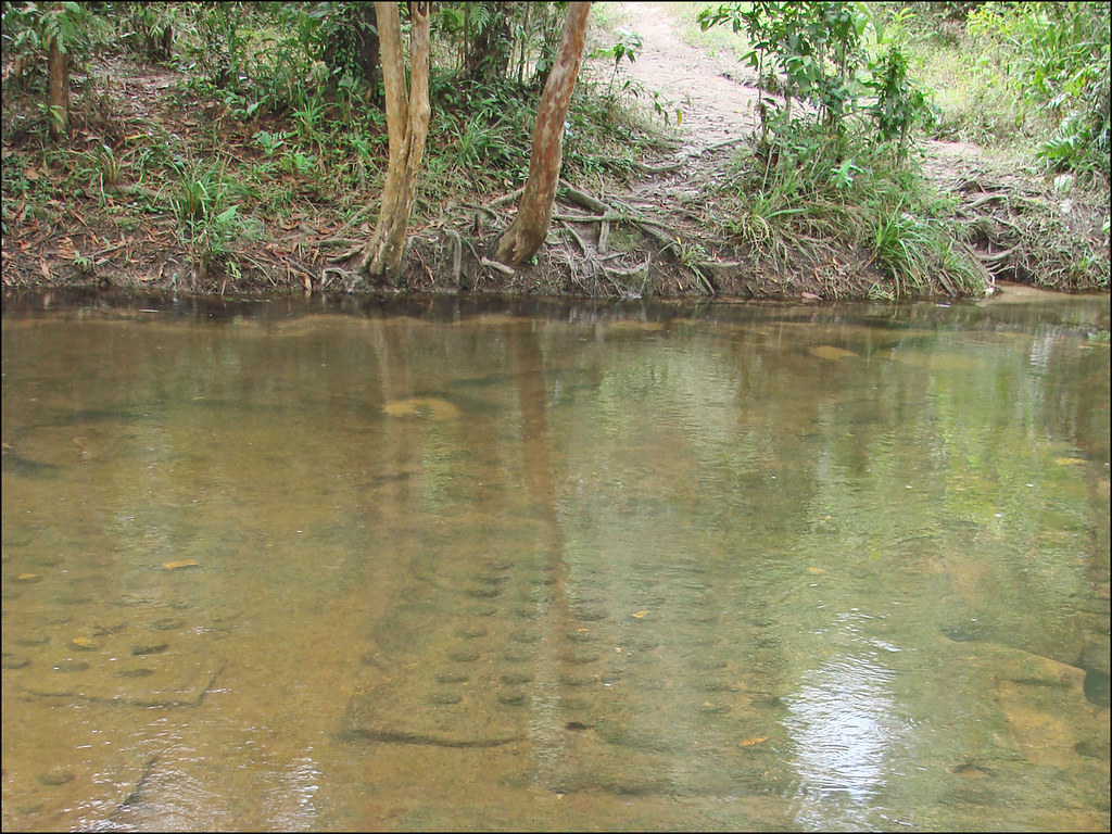 Les linga dans le lit de la rivière sacrée (Phnom Kulen) Flickr
