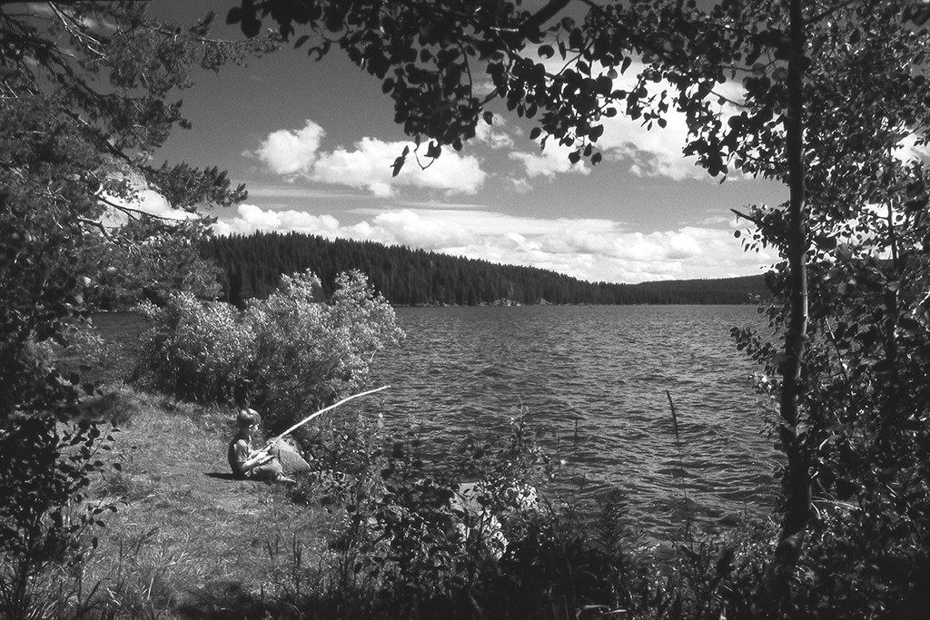 Diamond Lake Fishing A young man tries to convince a fish … Flickr
