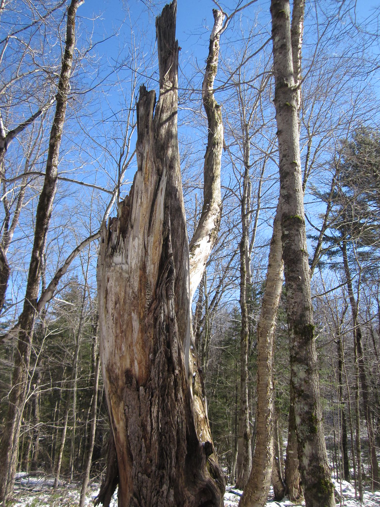 Dyken Pond Environmental Education Center New York Flickr
