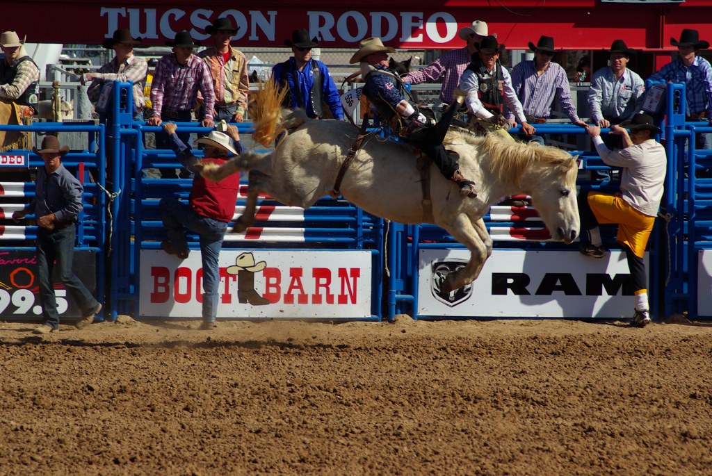 Tucson rodeo leaping horse kanu101 Flickr