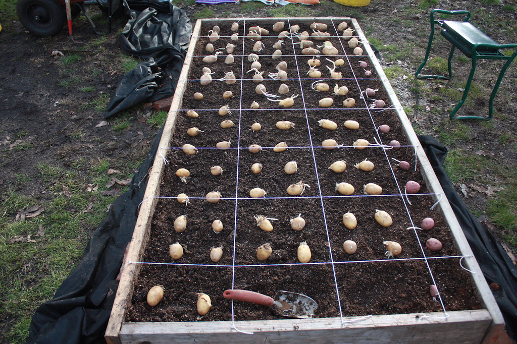 Potato Patch No 1 Supermarket ChateaugayLakes Flickr