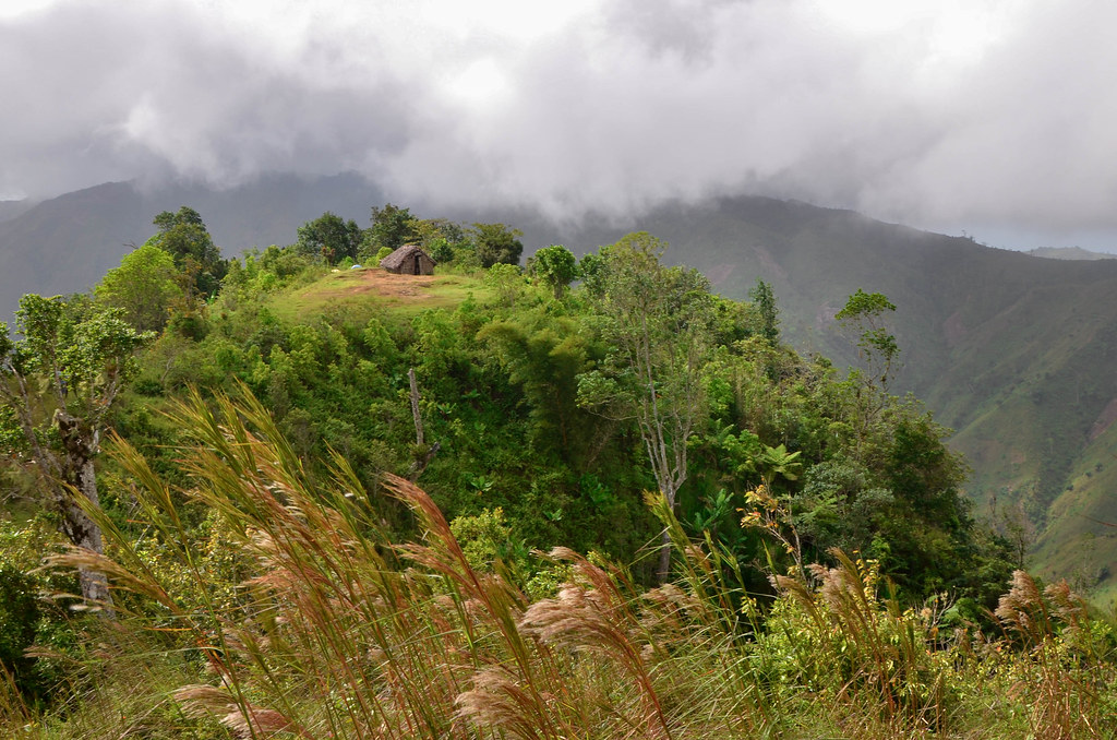 Grand Bois, Haiti Flickr