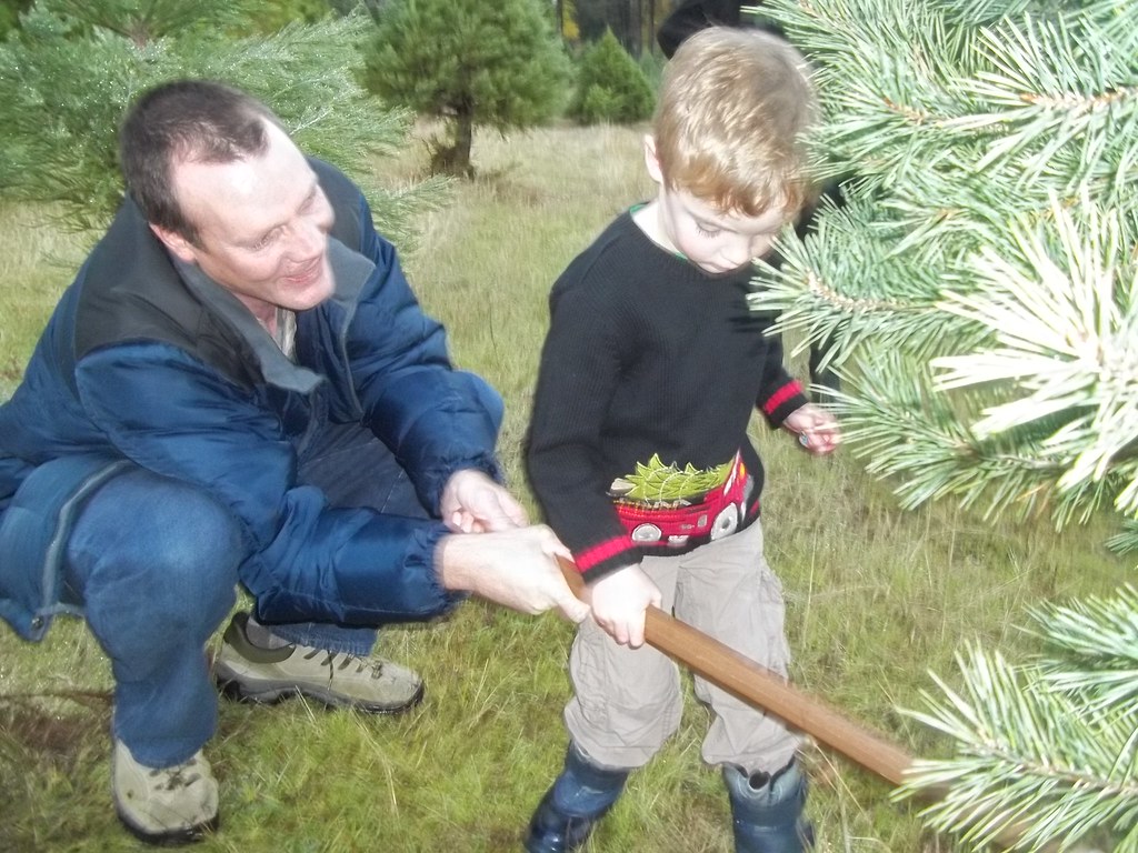 Here we go Mountain View Tree FarmParadise, CA Ingrid Patterson Flickr
