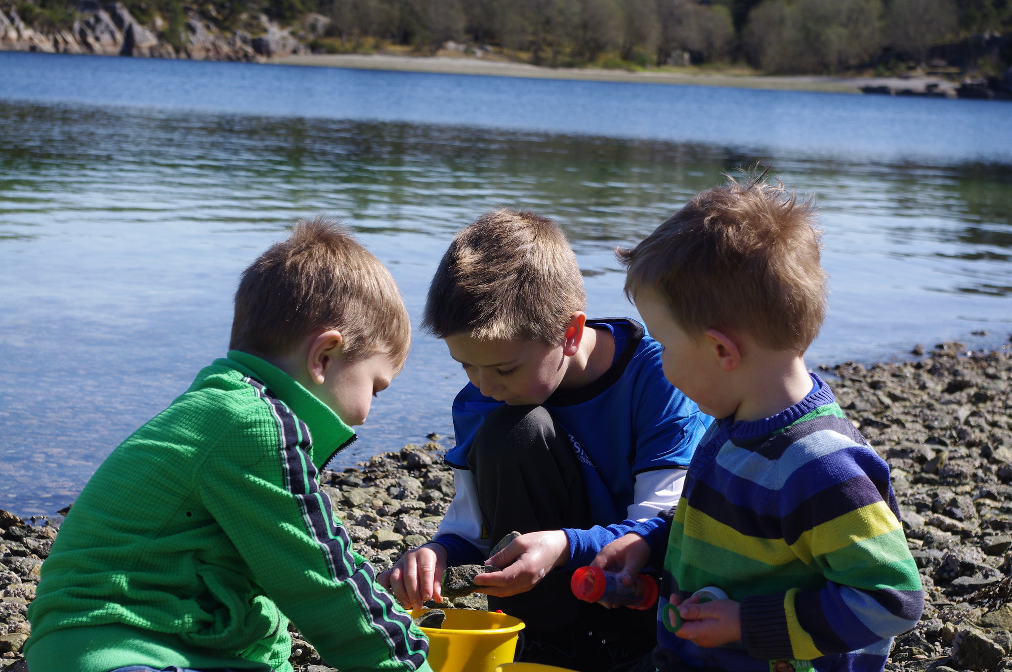 rom_helg’s favorites Flickr