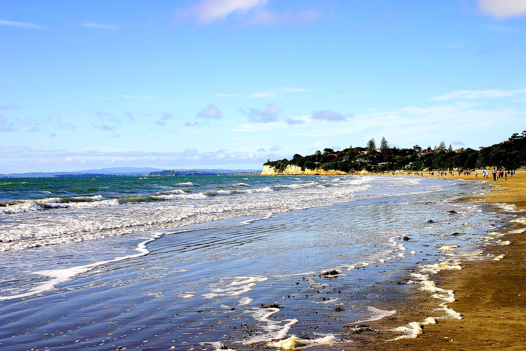 mairangi bay 1 Don Barrow Flickr